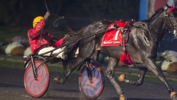 Bold Eagle och Brian Sears vinner Breeders Crown för äldre hästar.