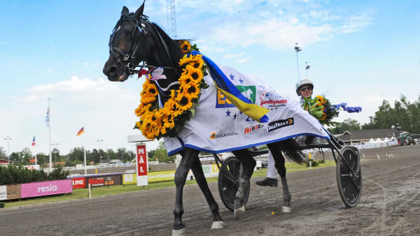 Foto: LARS JAKOBSSON/TR BILD