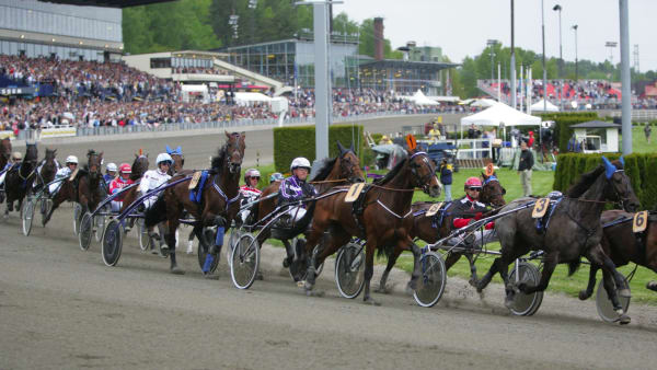 Foto: MIA TÖRNBERG/TR BILD