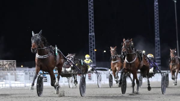 Foto: MARIA HOLMÉN / TR BILD