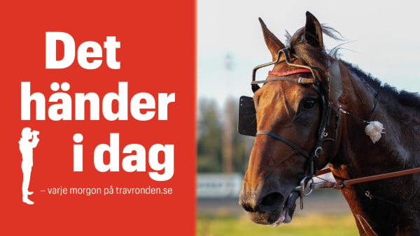 Foto: TR BILD