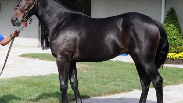 Foto: Stefan Melander/stalltz.se