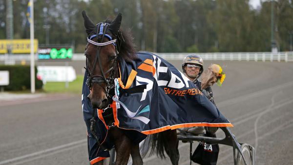 Foto: MATILDA ÖHRMAN / TR BILD