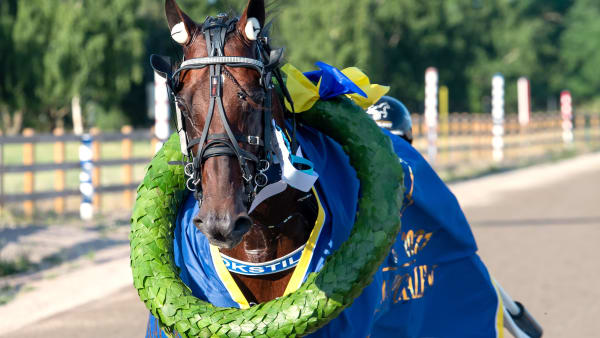 Foto: MIKAEL ROSENQUIST / TR BILD