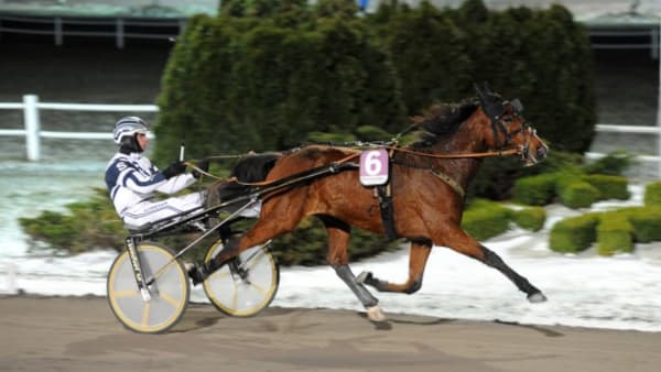 Foto: JÖRGEN TUFVESSON/ALN