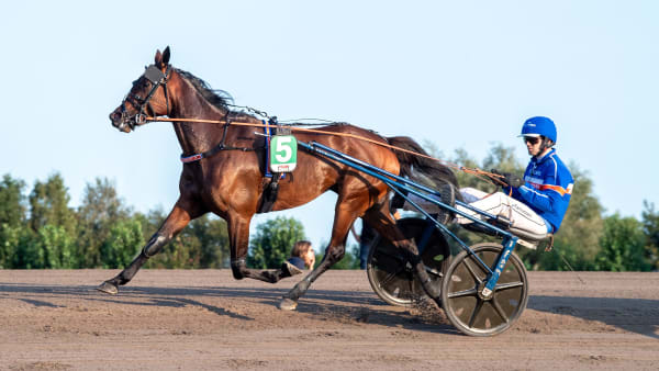 Foto: MIKAEL ROSENQUIST / TR BILD