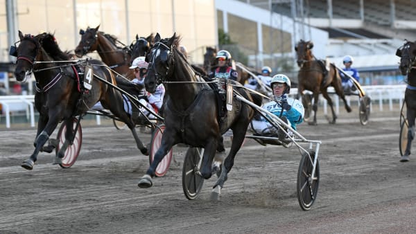 Foto: MALIN ALBINSSON / TR BILD