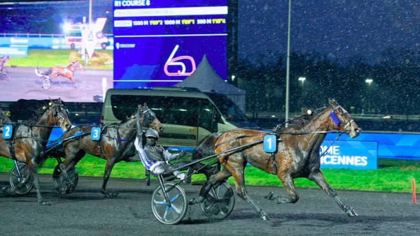 Foto: Jean-Luc Lamaère -TRBild