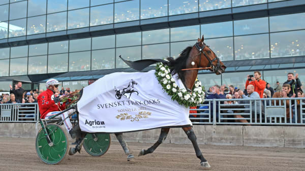 Foto: MARIA HOLMÉN / TR BILD