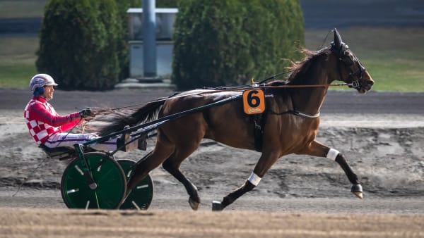 Foto: LENA EMMOTH / TR BILD