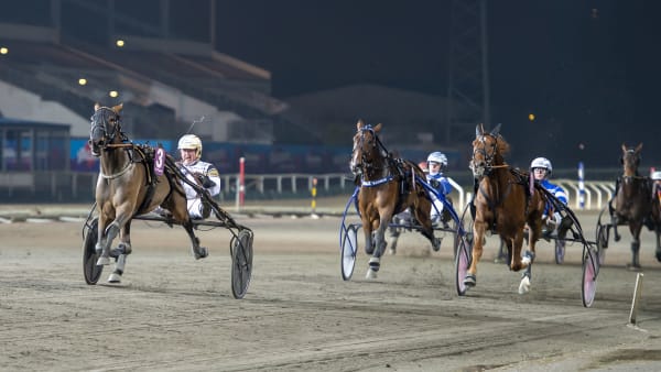 Foto: MIKAEL ROSENQUIST / TR BILD