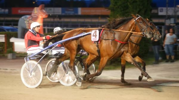 Foto: MICKE GUSTAFSSON/ALN