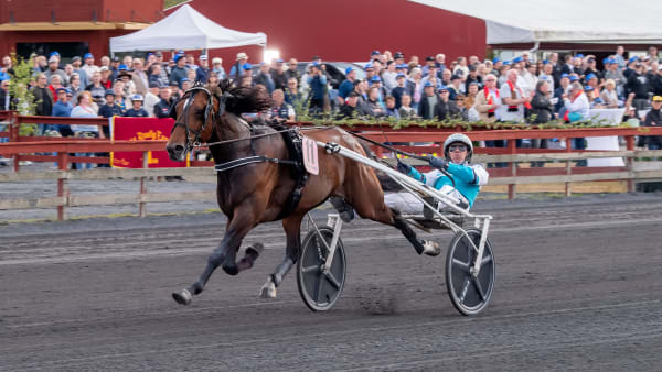 Foto: MIKAEL ROSENQUIST / TR BILD