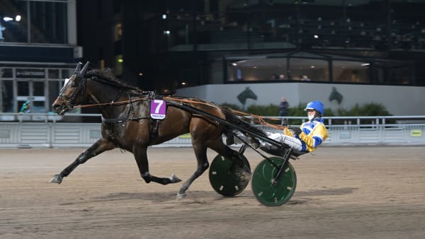 Foto: LARS JAKOBSSON / TR BILD