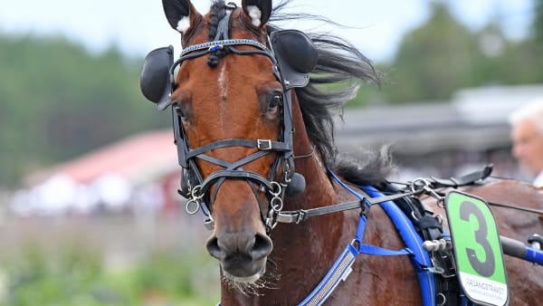 Foto: MALIN ALBINSSON / TR BILD