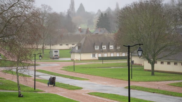 Foto: THOMAS BLOMQVIST / TR BILD