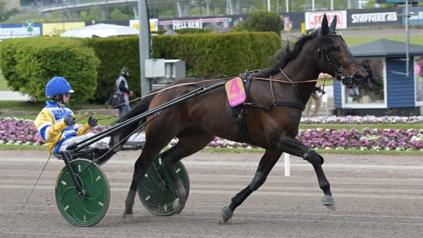 Foto: LARS JAKOBSSON / TR BILD