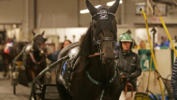 Foto: MATILDA ÖHRMAN / TR BILD