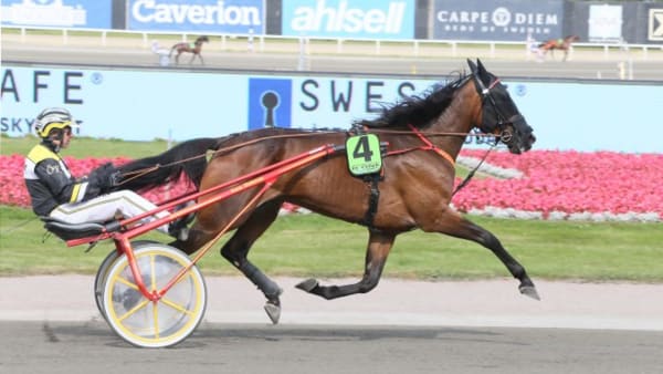 Foto: JEANNIE KARLSSON