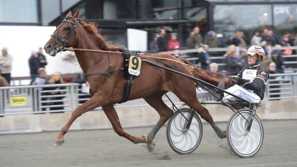 Foto: LARS JAKOBSSON / TR BILD