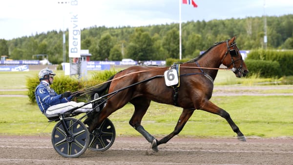 Foto: MARIA HOLMÉN / TR BILD