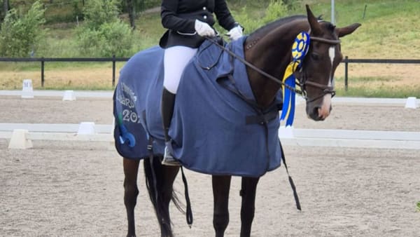 Foto: Carina Wesslén