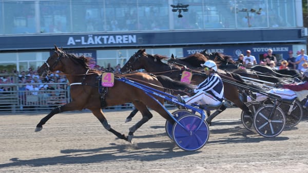 Foto: LARS JAKOBSSON/TR BILD