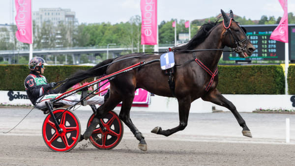 Foto: LENA EMMOTH / TR BILD