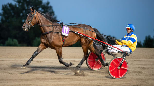 Foto: MIKAEL ROSENQUIST / TR BILD