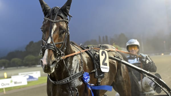 Foto: LARS JAKOBSSON/TR BILD