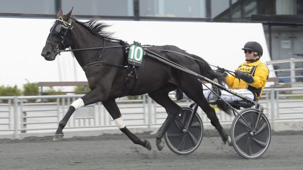 Foto: LARS JAKOBSSON / TR BILD