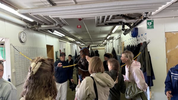 Foto: Rickard Hansson/TR BILDq