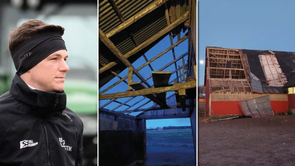 Foto: Malin Albinsson/TR BILD/Privat.