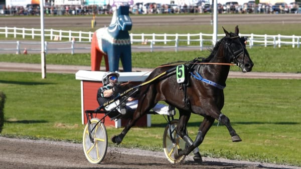 Foto: MICKE GUSTAFSSON/ALN