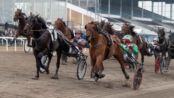 Foto: MIKAEL ROSENQUIST / TR BILD