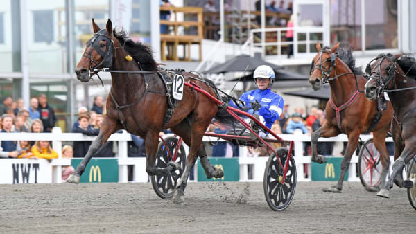 Foto: MALIN ALBINSSON / TR BILD