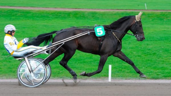 Foto: MATS HANSSON/ALN