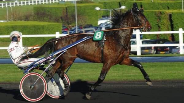 Foto: STEFAN MELANDER/STALLTZ.SE