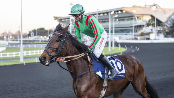 Foto: BRUNO VANDEVELDE/LE TROT