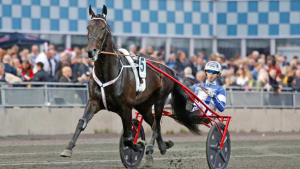 Foto: Matilda Öhrman/Travronden