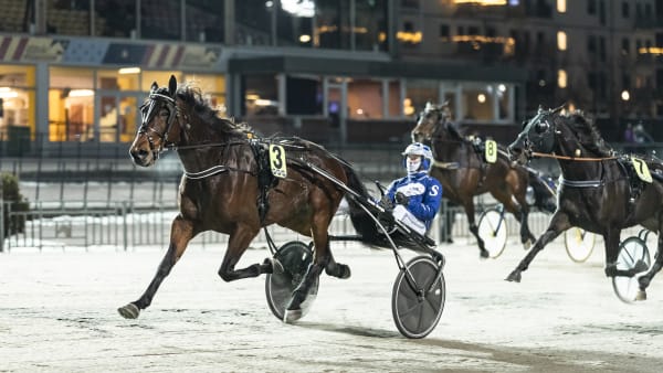 Foto: LENA EMMOTH / TR BILD