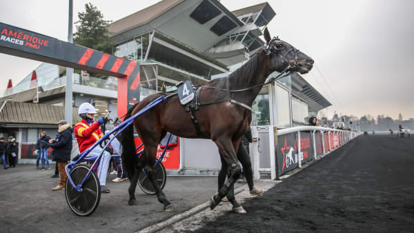 Foto: BRUNO VANDEVELDE/LE TROT