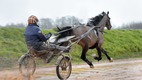 Foto: LARS JAKOBSSON / TR BILD