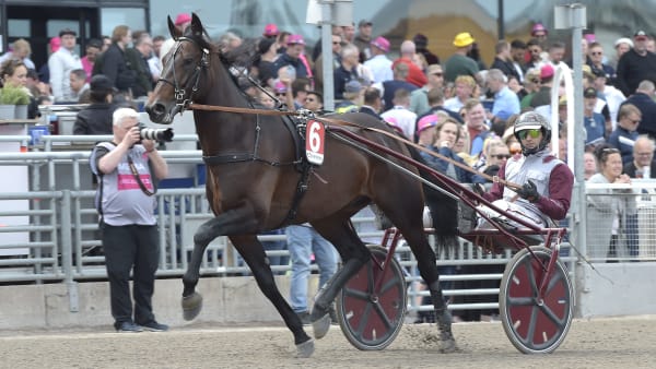 Foto: LARS JAKOBSSON / TR BILD