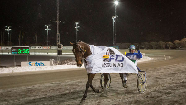 Foto: DAVID SCHREINER / TR BILD