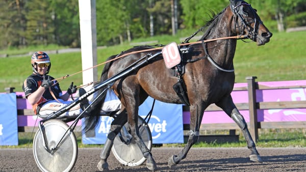 Foto: MALIN ALBINSSON / TR BILD