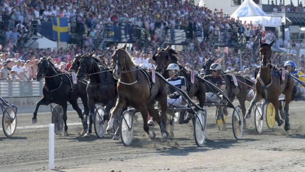 Foto: LARS JAKOBSSON/TR BILD