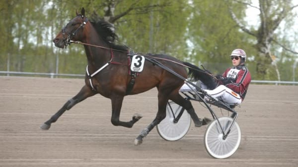 Foto: MICKE GUSTAFSSON/ALN