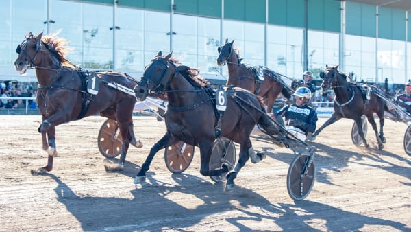 Foto: MIKAEL ROSENQUIST / TR BILD