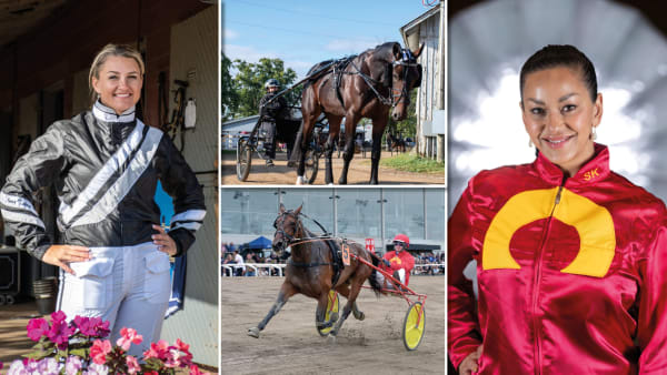 Foto: TR BILD/MONTAGE